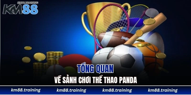 Panda Sports Tại KM88 - Hòa Mình Vào Bộ Môn Vượt Trội 4 Tổng quan về sảnh chơi thể thao Panda