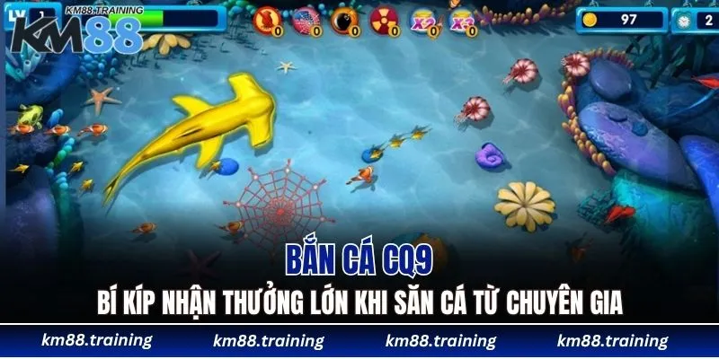 Bí kíp nhận thưởng lớn khi săn cá từ chuyên gia