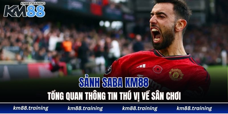 Tổng quan thông tin thú vị về sảnh Saba KM88