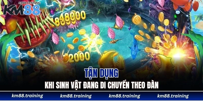Bắn Cá JDB Tại KM88 - Hội Tụ Loạt Game Chất Lượng Cao 6 Tận dụng khi sinh vật đang di chuyển theo đàn